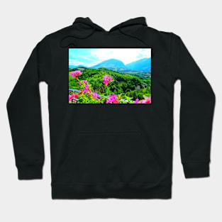 Scenery from Montefortino with flowers, thickets, fields and Sibillini Hoodie